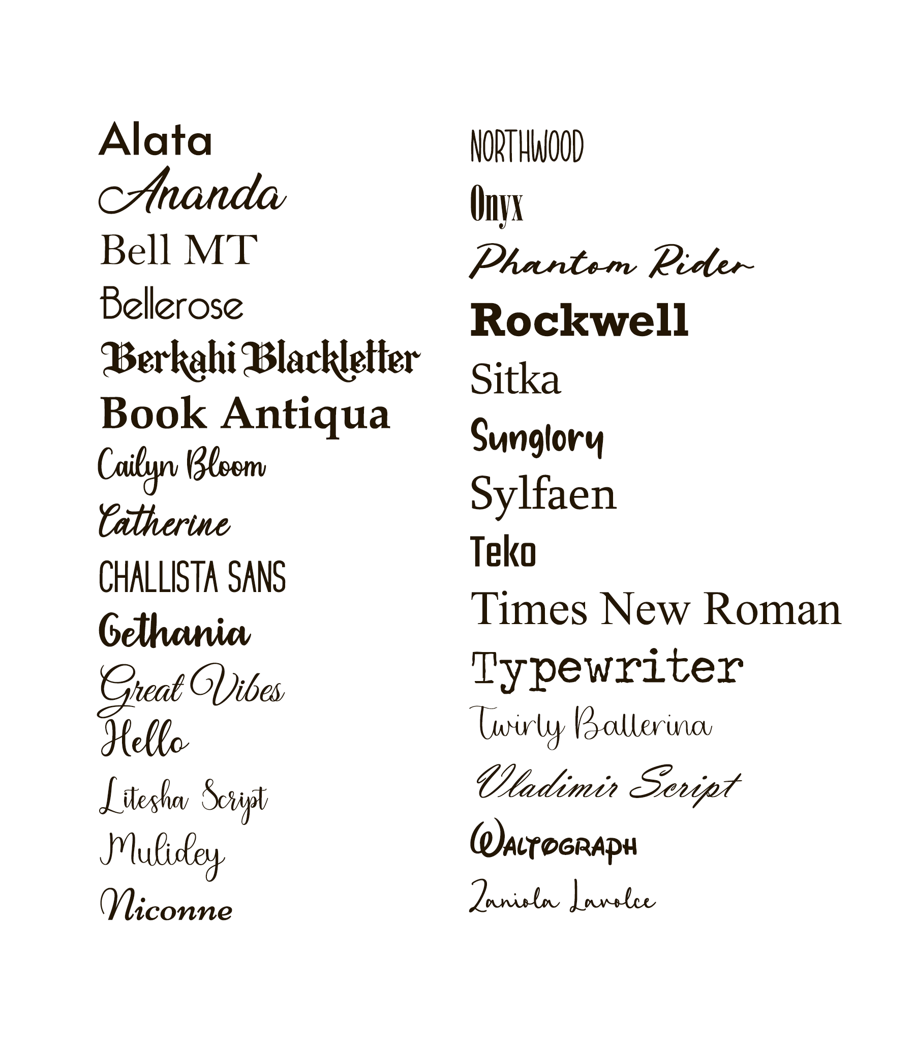 Custom Bone Shaped Pet Tags