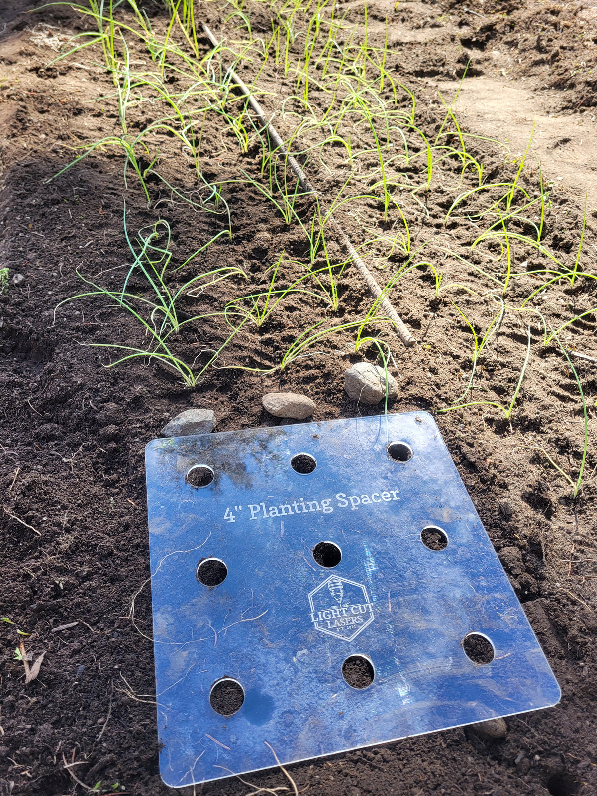 A square blue metal 4-inch planting spacer with pre-drilled holes, placed on dark soil next to small green seedlings. The spacer has the text '4" Planting Spacer' and a 'Lone Star' logo.